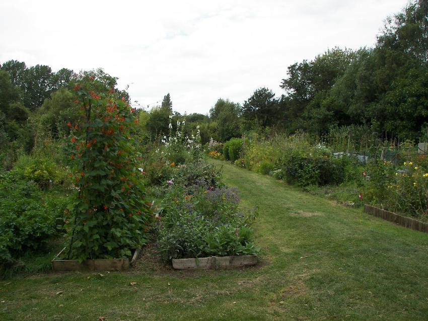 Spragglesea Allotments